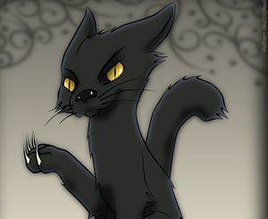 Новость - События - Запорожцы в пятницу 13-го через плечо не плюют и черных кошек не выглядывают