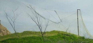 Одеські волонтери знайшли спосіб боротьби з іранськими дронами: потрібні рибальські сітки