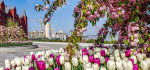 Какая погода будет в Днепре на выходных