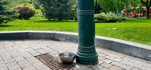 В саду Шевченко установили поилки для собак