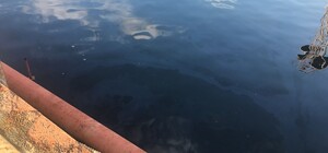 Сухий лиман на Одещині забруднили нафтопродуктами