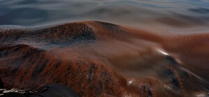 В Одесі біля пляжу Відрада виявили пляму з нафтопродуктів