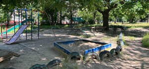 У Запоріжжі на дитячому майданчику невідомі застрелили собаку (фото)