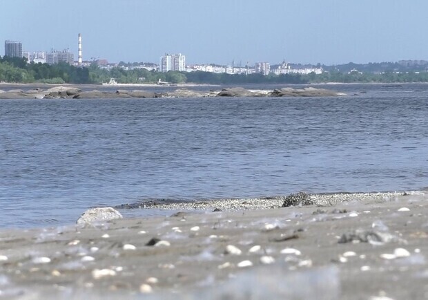 В Запорожье падает уровень кислорода в днепровской воде: чем это небезопасно. 