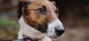 Після скандалу у ЛКП 