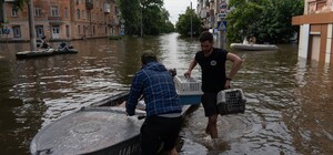 У Дніпрі волонтери шукають господарів тварин, яких врятували з Херсонщини