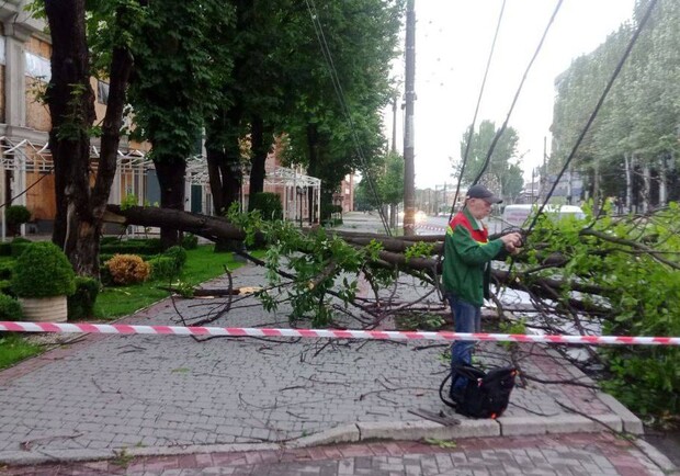 Повалені дерева та зруйновані електромережі: у Запоріжжі усувають наслідки негоди. 