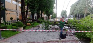 Упавшие деревья и разрушенные электросети: в Запорожье устраняют последствия непогоды