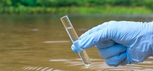 Свіжий моніторинг води в Одесі: що відомо на 16 липня