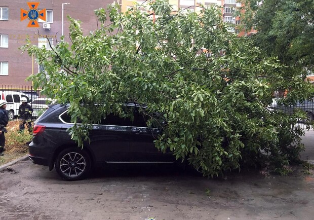 Ненастье в Запорожье 17 июля: из-за сильного ветра деревья попадали на автомобили. 