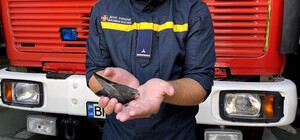 Одесские пожарные спасли стрижа Арчи