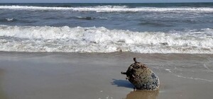 На побережье Одесской области штормом выбросило морскую мину