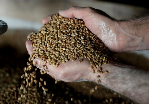 Окупанти планують вивозити награбоване у Запорізькій області зерно до Африки. 