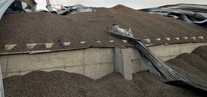 Россия испортила 40 000 тонн зерна в Одесской области: цены на продовольствие поднялись 