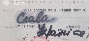 Пограничники задержали в Киевской области 