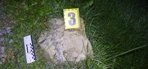 На Львівщині п'яний водій наїхав на дитину