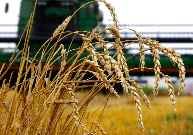 У Запорізькій області окупанти викрали вже 1,4 мільйона тонн зерна. 