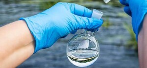 Стала известна причина замора рыбы на Тилигульском лимане 