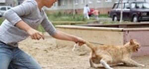 В Днепропетровской области девушка снимает на видео свои издевательства над домашними животными