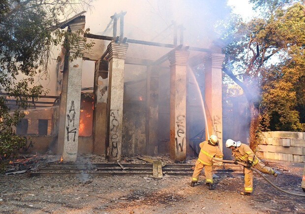 У Запоріжжі в парку "Дубовий Гай" сталася пожежа: рятувальники показали наслідки. 