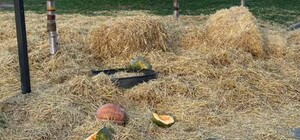 В Днепре горожане поиздевались над фотозоной в сквере Усачева