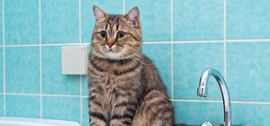 В Днепре произошли аварийные отключения воды: адреса