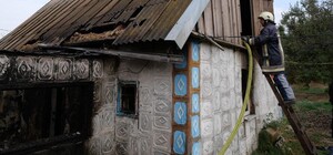 Під Запоріжжям сталася пожежа: загинула жінка з дитиною (фото, відео)