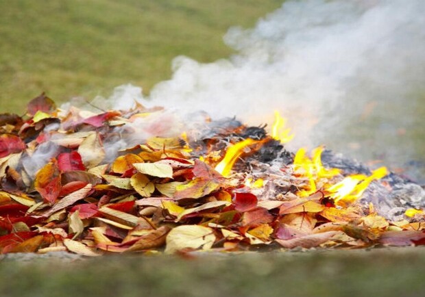 В Запорожье устраивают проверки курящих листьев. 