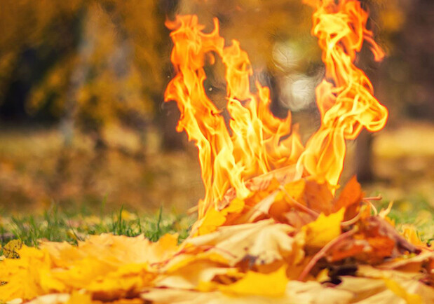 Запорожцев предупреждают о запрете сжигания сухой травы и опавших листьев. 