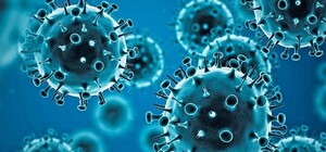 В Украине зарегистрировали первый случай нового коронавируса «Пирола»: симптомы