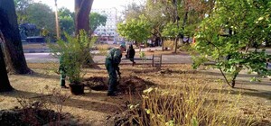 В Одессе преображают Старобазарный сквер