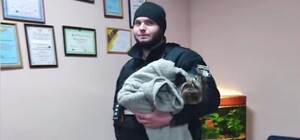 В Киеве мужчина издевался над щенком йорка в парке: Видео