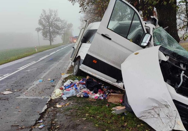 У Польщі розбився автобус з українцями: що відомо. 
