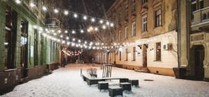 Львів звільняють від снігу 