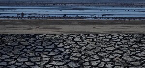 Запорізький науковець пояснив, чому не потрібно знову затоплювати осушене Каховське водосховище