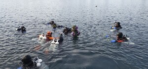 Новорічна ялинка під водою: де занурили зелене дерево