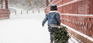 Куда нести елку после новогодних праздников в Одессе: адреса