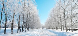 Пункты несокрушимости в Киевской области начинают работать круглосуточно