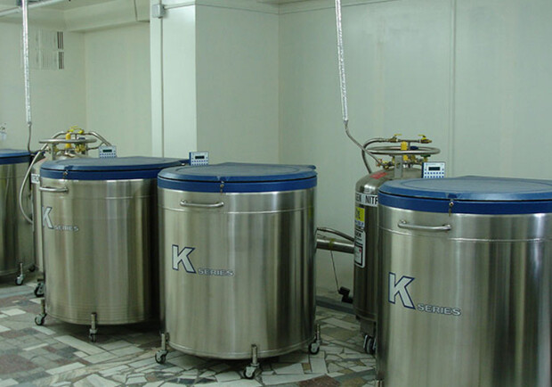 За новим законом, вдови загиблих військових в Україні не зможуть користуватися їхніми репродуктивними клітинами, щоб зачати дітей. 