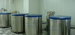 Вдови загиблих військових в Україні не зможуть користуватись їхніми репродуктивними клітинами, щоб зачати дітей