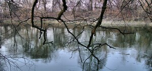 У річці біля Жовкви знайшли тіло чоловіка, якого шукали 10 днів