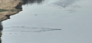 Отримай відповідь: що буде, якщо піймають чоловіка, який 