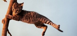 Перепаркуйте авто: у Запоріжжі оголосили штормове попередження