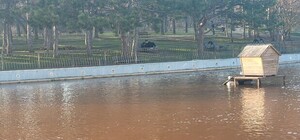 Коричневая вода в парке Победы: коммунальшики наконец-то нашли выход 