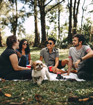 Диван зачекає: чим зайнятися у Запоріжжі у п'ятницю ввечері та на вихідних