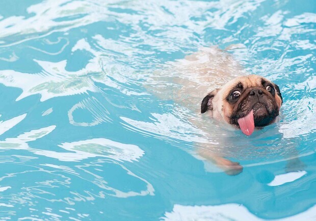 В Одессе области снова зафиксировали температурный рекорд: когда станет прохладнее