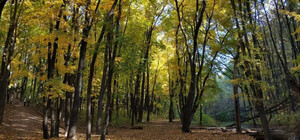 Пропал на Алексеевке: в Харькове нашли мертвым 15-летнего парня