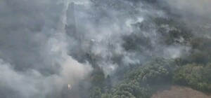 Масштабный пожар: под Балаклеей третий день горит лес