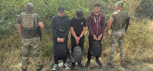 Ховалися в соняшниках: в Одеській області прикордонники затримали кількох ухилянтів
