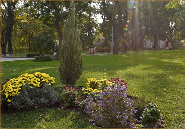 Мастер-класс по танцам и Опен-эйр Lіve at Botanіс за уборку: куда пойти в Одессе на грядущих выходных бесплатно